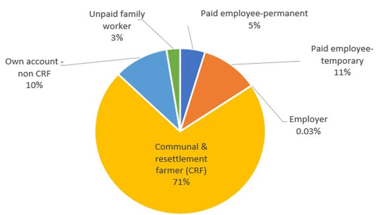 Figure 1. Distribution of informal workers by employment activity