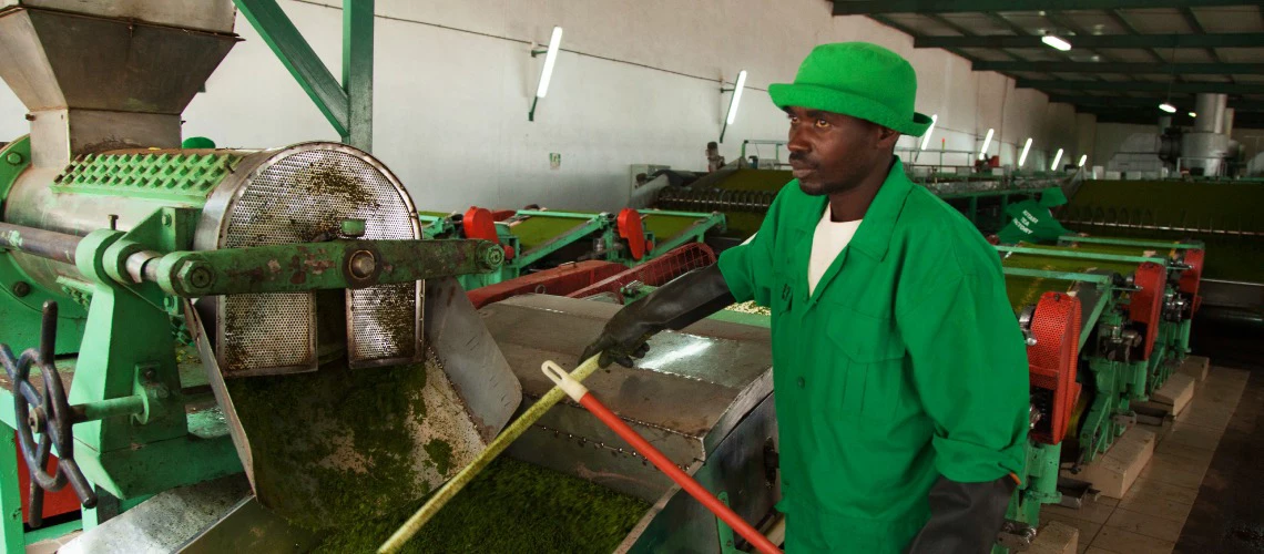 Agriculture processing plant in Rwanda. Photo: A'Melody Lee/ The World Bank