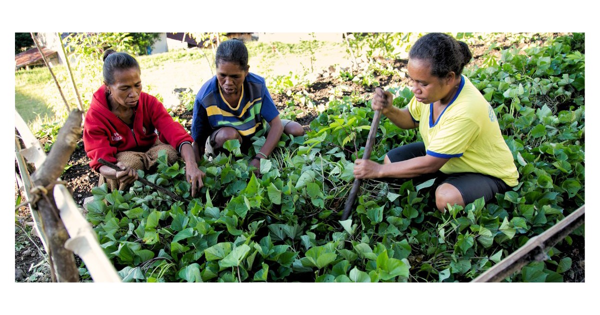 Reshaping the Agriculture and Food Sector for Healthier Diets