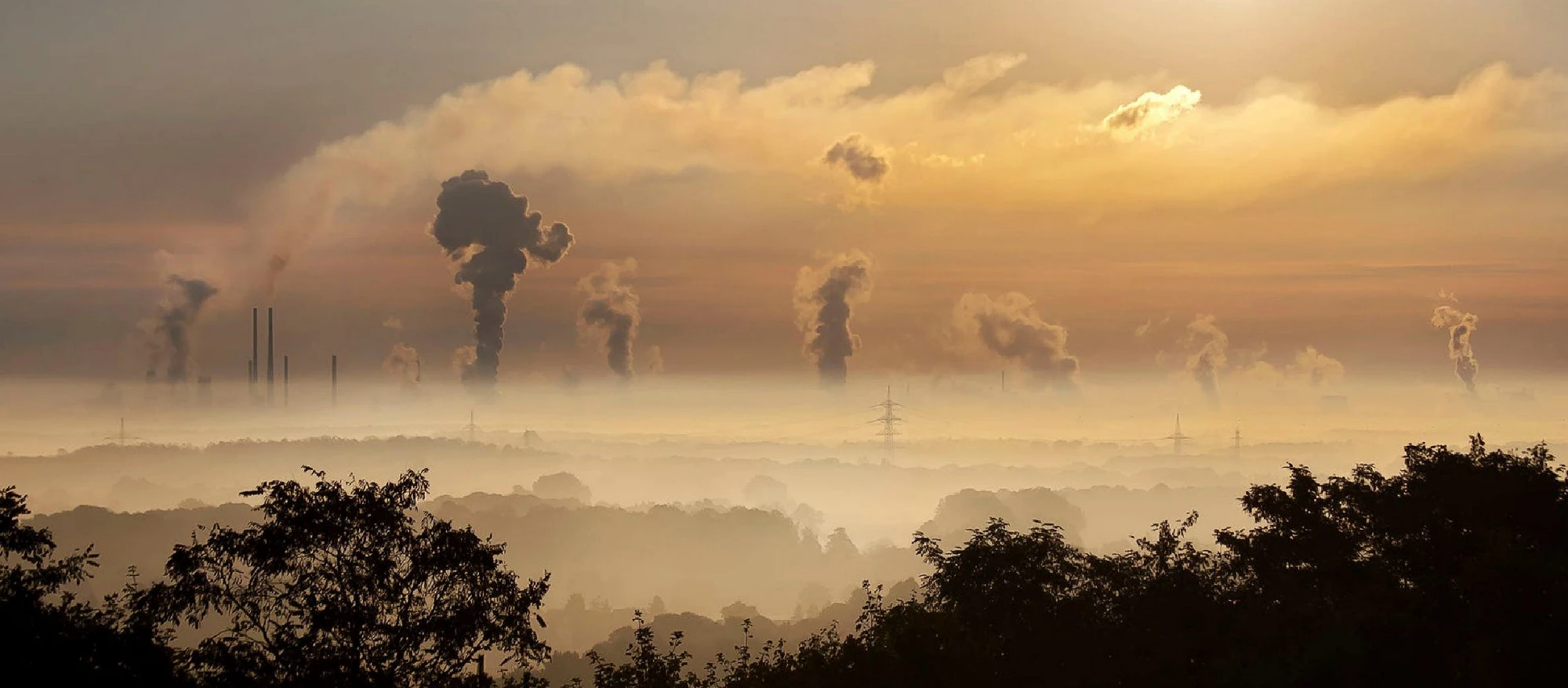 sunset with carbon fumes over tree canopy