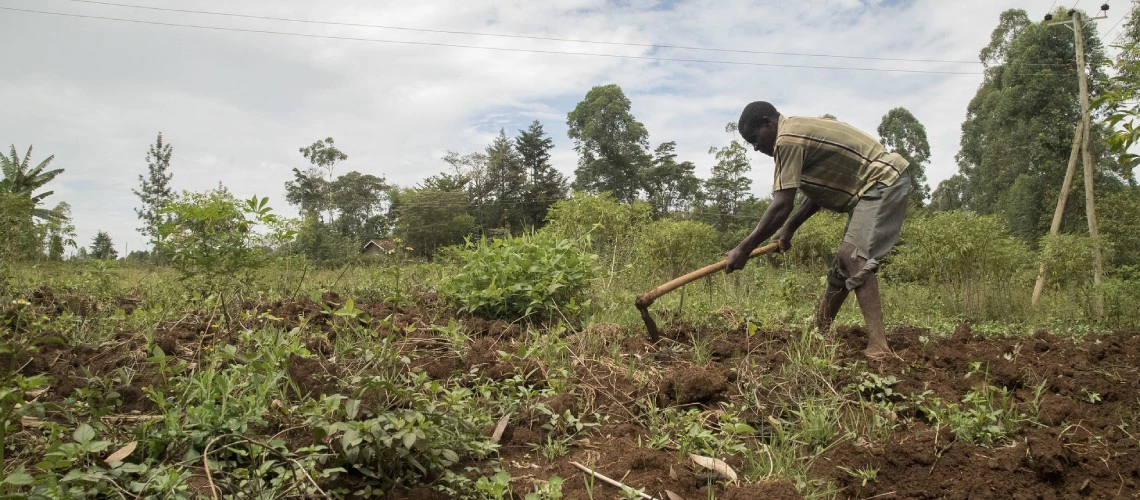 A farmer tills his farm in Kenya. 