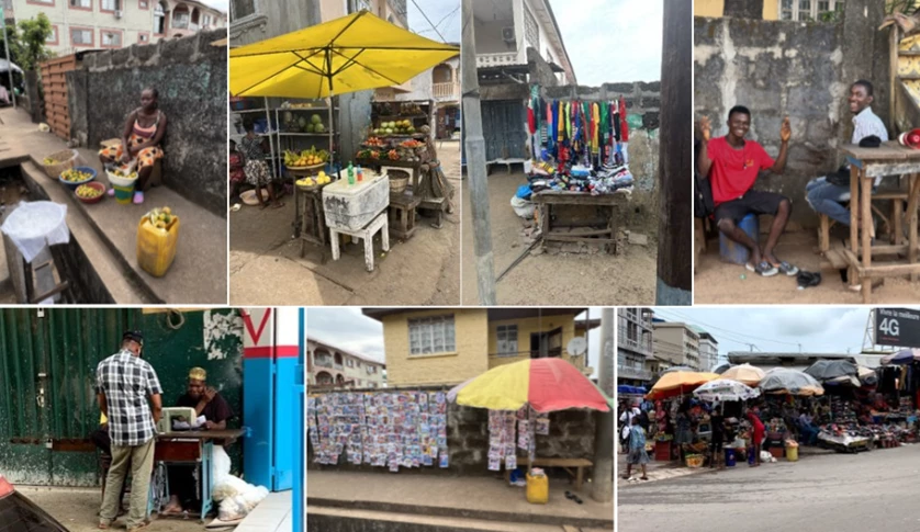 Micro establishments in Sierra Leone.