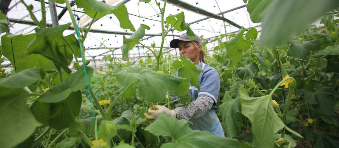 Woman farmer in Albania