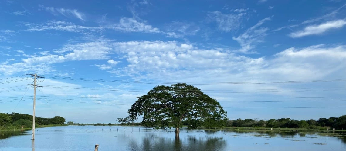 Flood in the state of Córdoba, Colombia.