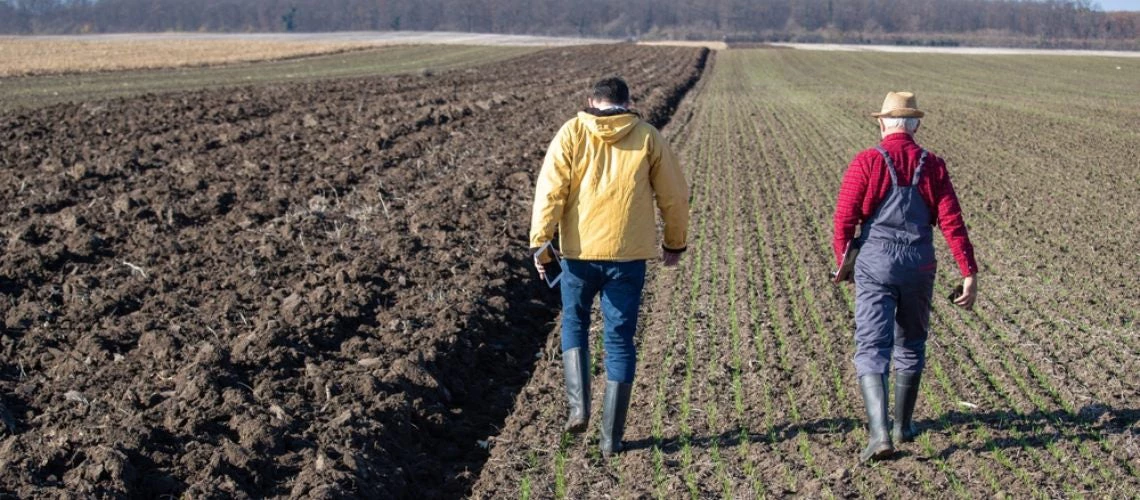 Rear view of two farmers walking in plowed field