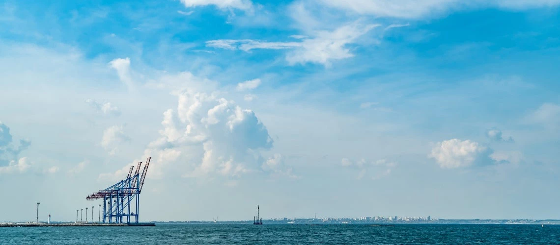 Grues à conteneurs dans un terminal portuaire de fret.  © Vadym Stock/Shutterstock