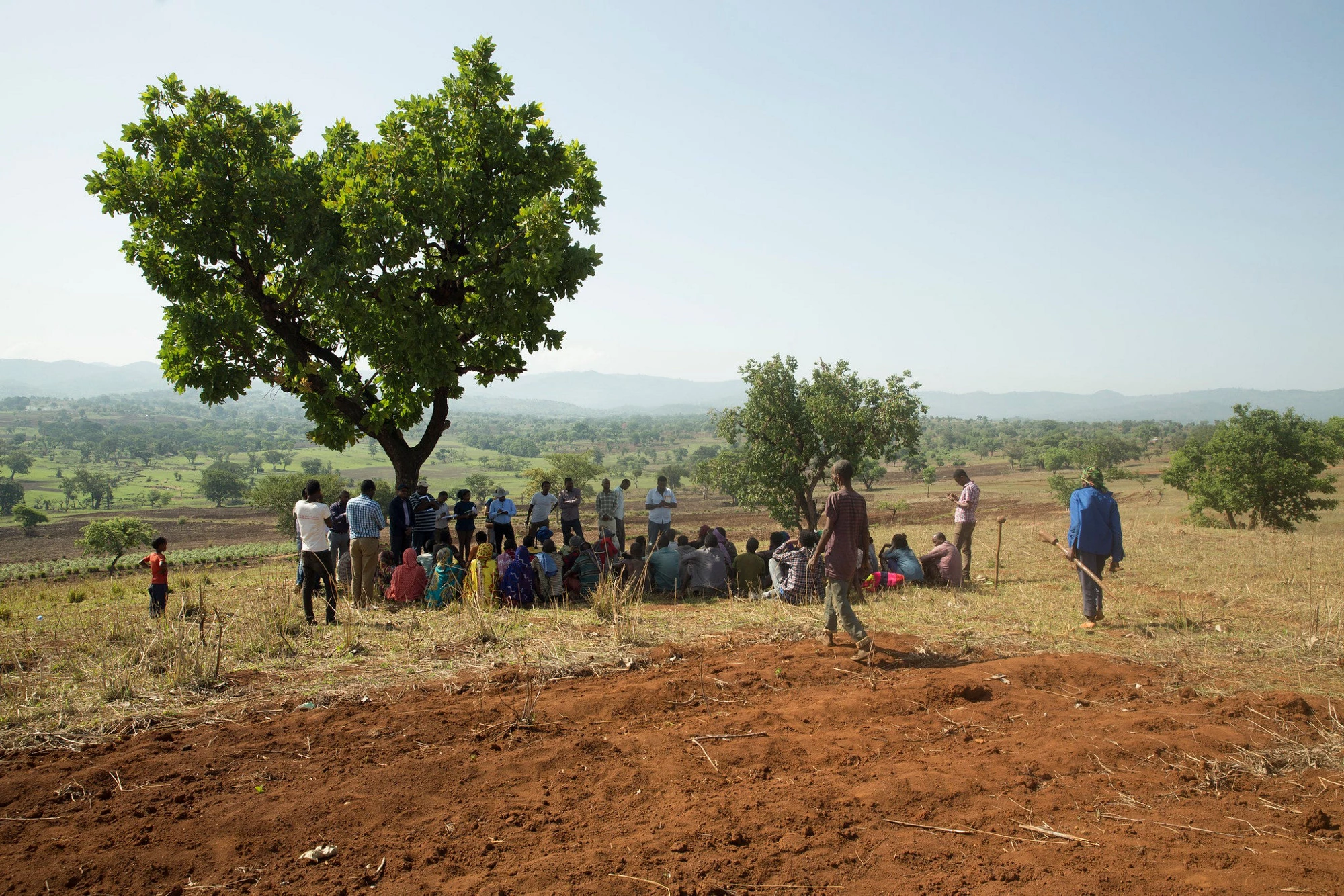 Ethiopian farmer training session