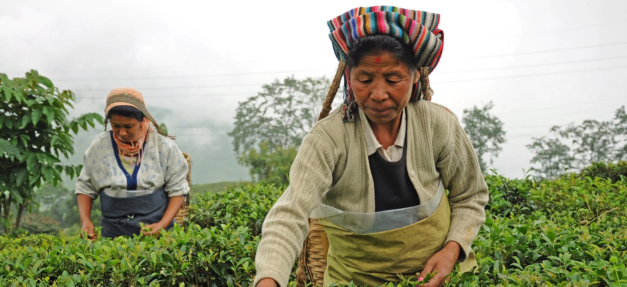 Just 25 percent of South Asia?s working-age women were in the labor force in 2021 Credit: Shutterstock