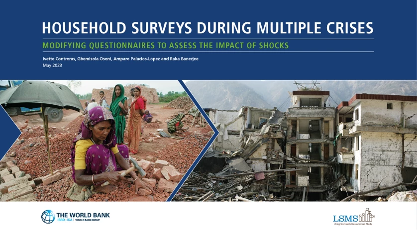 Household Surveys During Multiple Crises