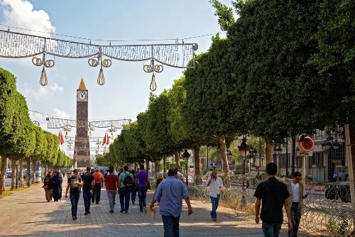 Avenue Habib Bourguiba, Tunis. Nataliya Hora l Shutterstock