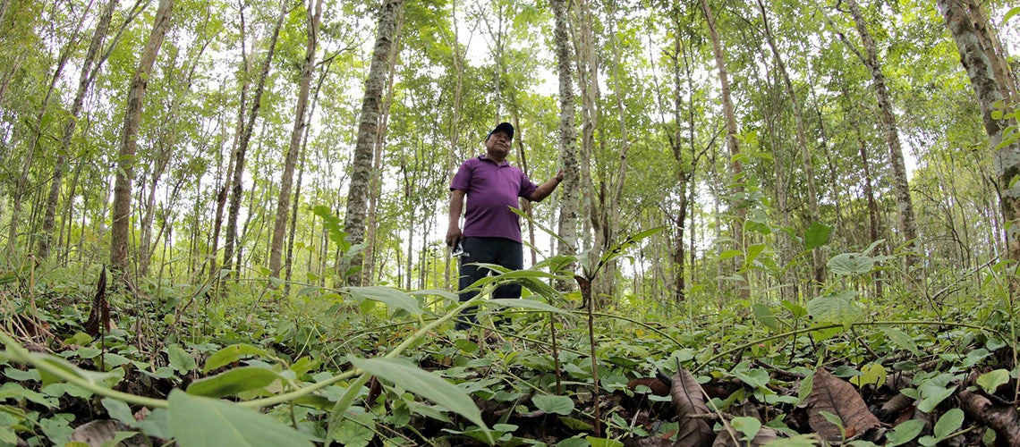 Representante de la comarca Ipeti-Emberá, Panamá, en el bosque