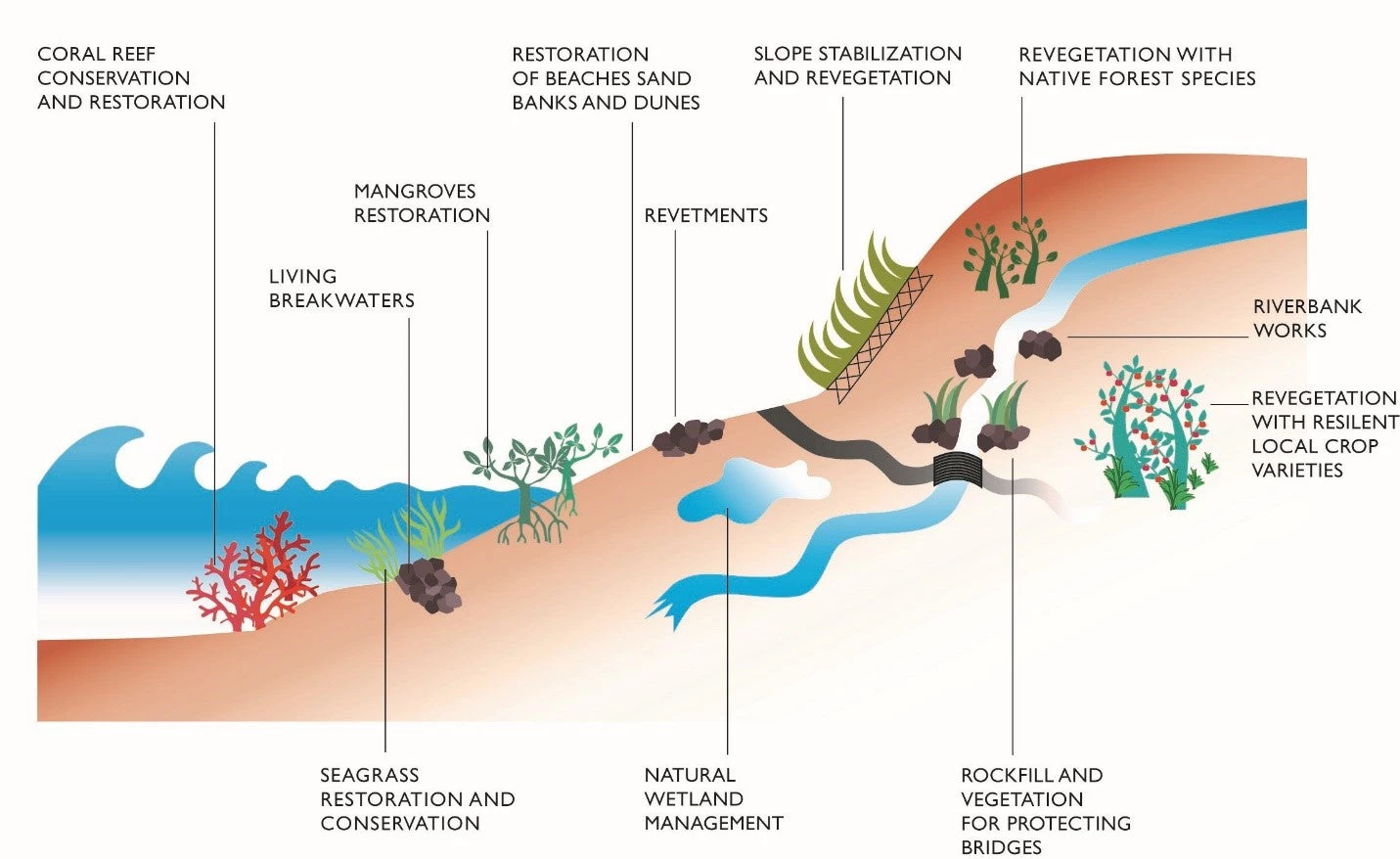 : How can nature-based solutions improve transport infrastructure resilience? Lessons from Haiti