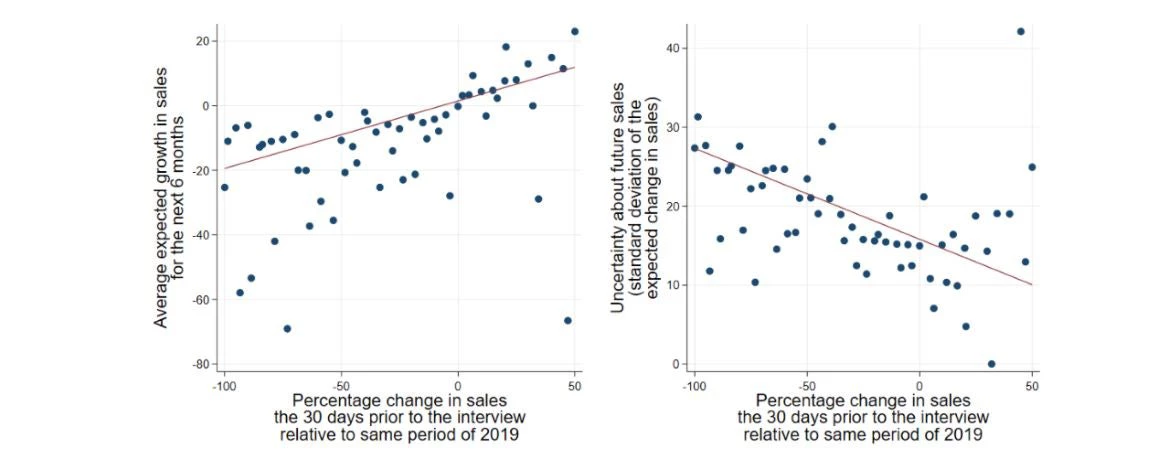 Figure 2: Expectations, Uncertainty and Drop in Sales