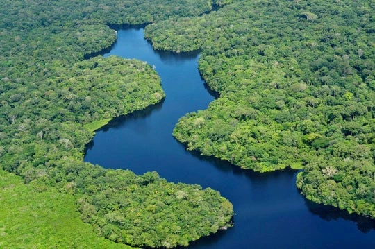 Vue aérienne de la forêt amazonienne près de Manaus, Brésil. Photo by CIAT via CIFOR Flickr