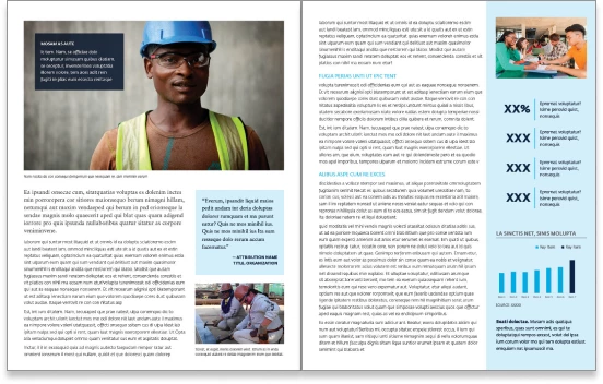 Example 1: Brochure interior page design.