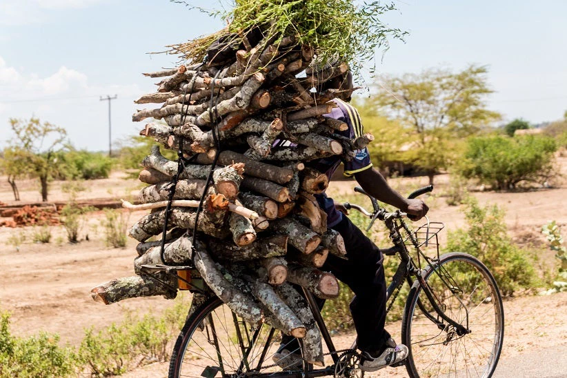By Dereje - Firewood On Bicycles As Primary Mode Of Reaching Markets Malawi