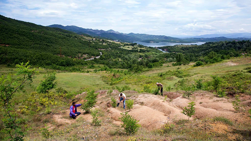 Planting trees in Ulez, North Albania.