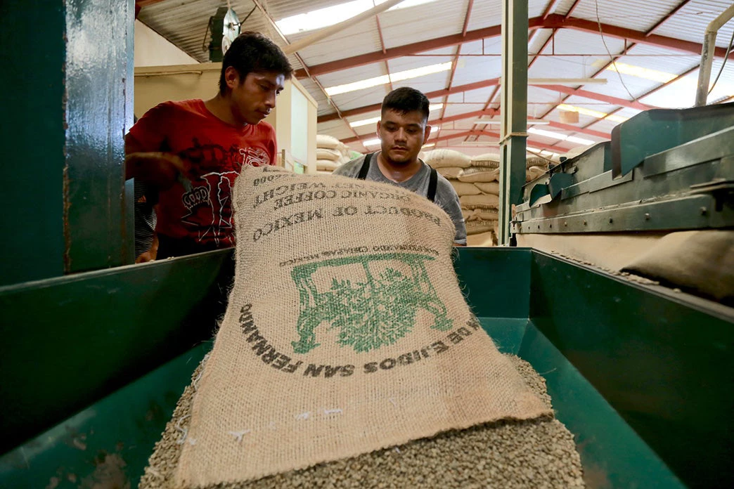 Coffee producers. Chiapas, Mexico 