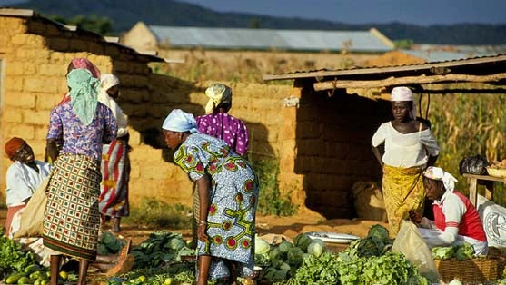 photo of Women selling produce at a market in Nigeria