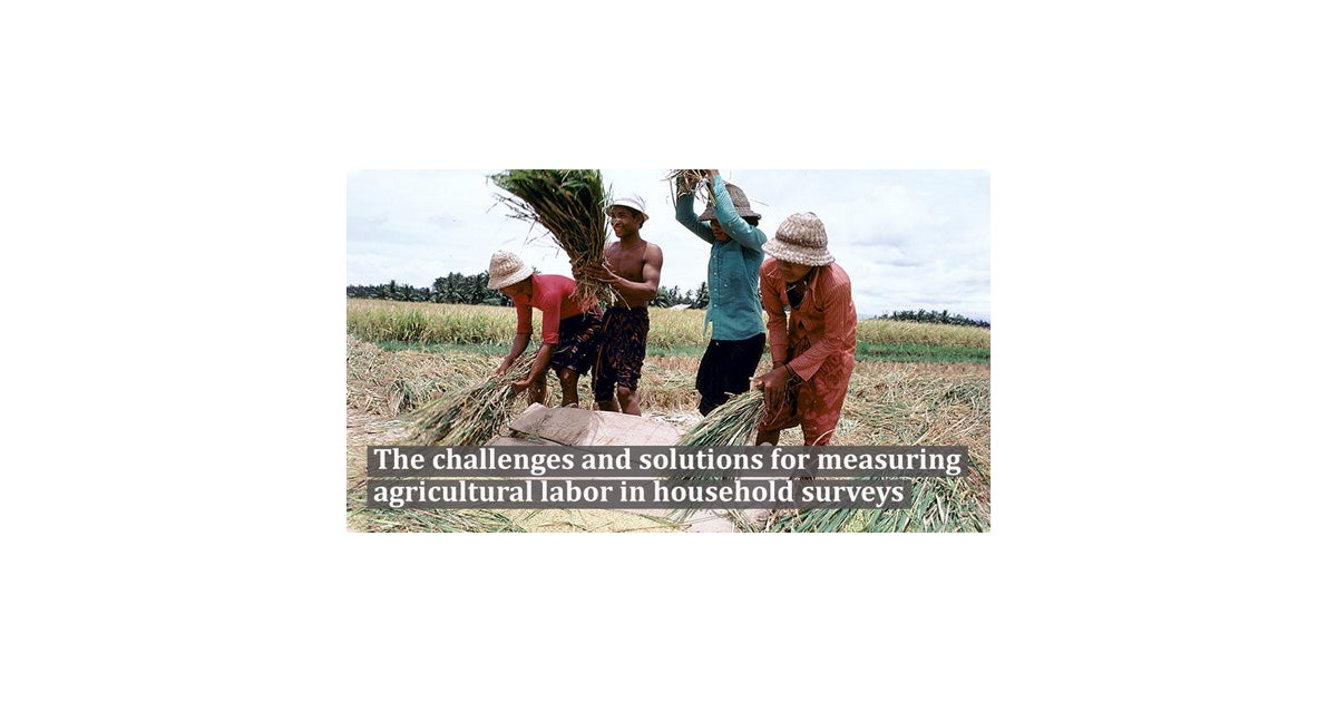 Agricultural Labor Survey | National Agricultural Survey – NJPDK