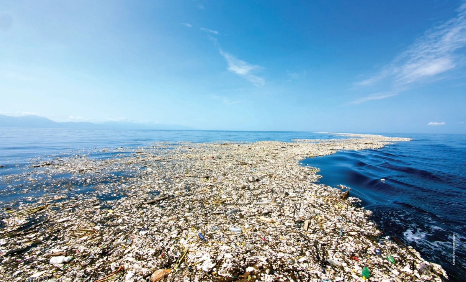 Una isla de plástico flota en el Mar Caribe. Foto: Caroline Power