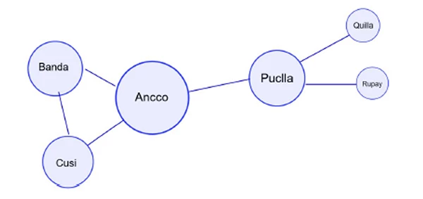 A diagram of circles showing Figure 2: Illustration of a family network