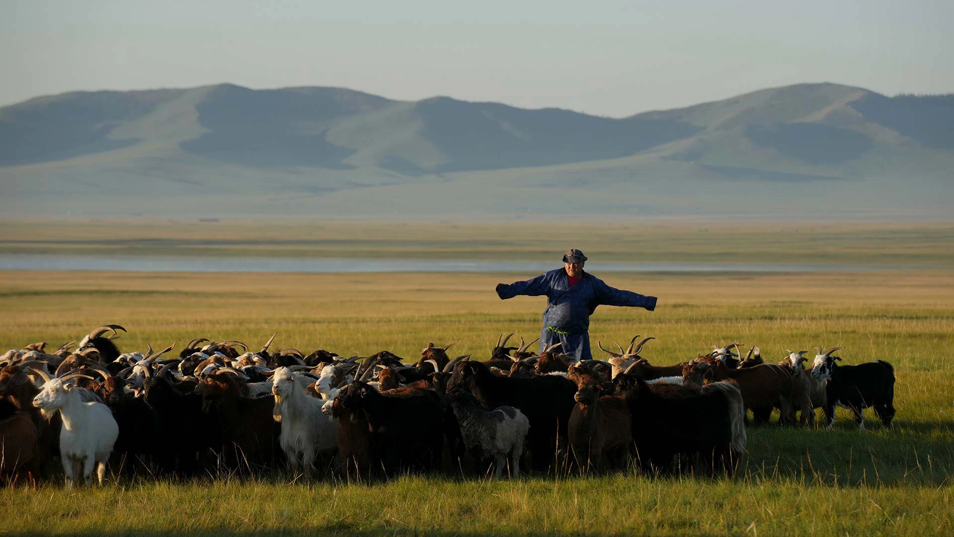 Three Decades, One Partnership: How Japan and IFC Are Creating Private Sector Opportunities in Emerging Markets