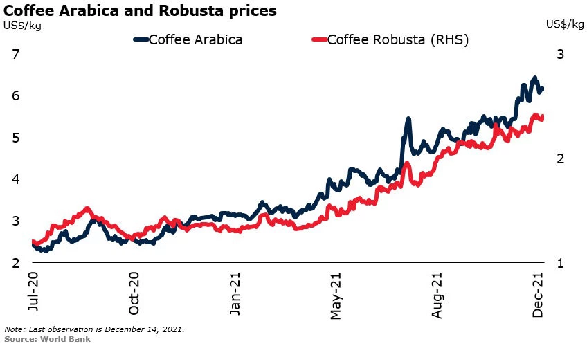 coffee arabica and robusta prices