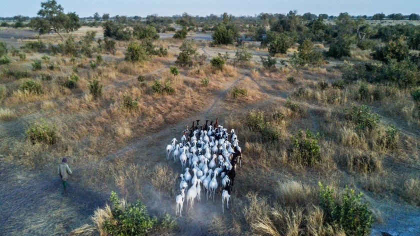 Le changement climatique est déjà une réalité pour des millions de personnes en Afrique de l?Ouest