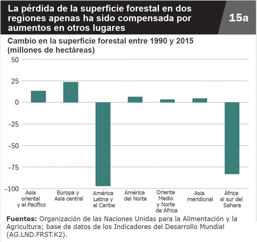 La pérdida de la superficie forestal en dos regiones apenas ha sido compensada por aumentos en otros lugares.