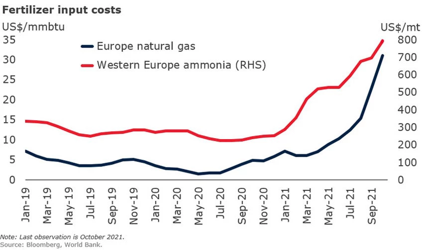 chart 2 fertilizer input costs