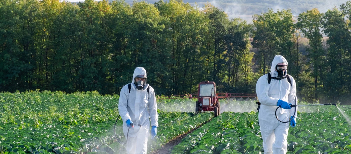 Farmer spraying pesticide field mask harvest protective chemical By NataliAlba