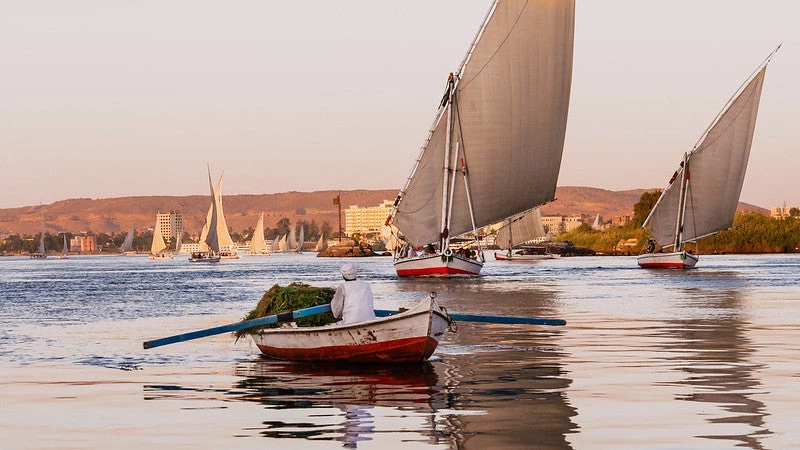 Two feluccas sail at sunset on the Nile river towards the camera, while a rowboat carrying fodder crosses in front, in Aswan, Egypt. Photo Credit: Hassan Elnagar 