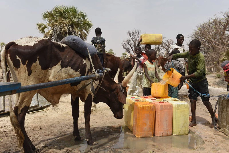 Habitants de la région du Lac Tchad tirant de l’eau d’un puits. Crédits photo : La Commission du bassin du lac Tchad 