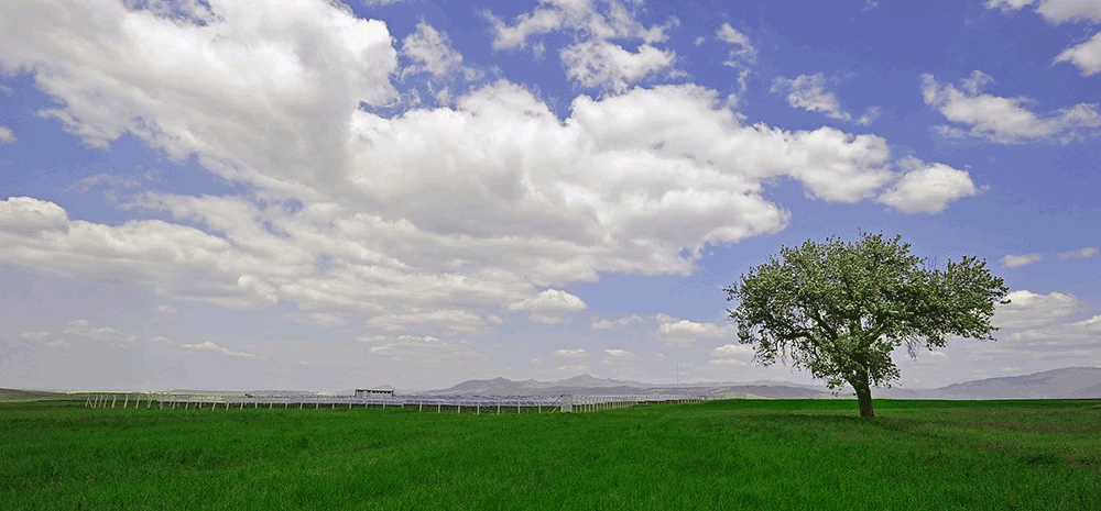 Chile ha sido un líder global en desarrollo sostenible y con grandes ambiciones para contribuir al diálogo del cambio climático. Banco Mundial.