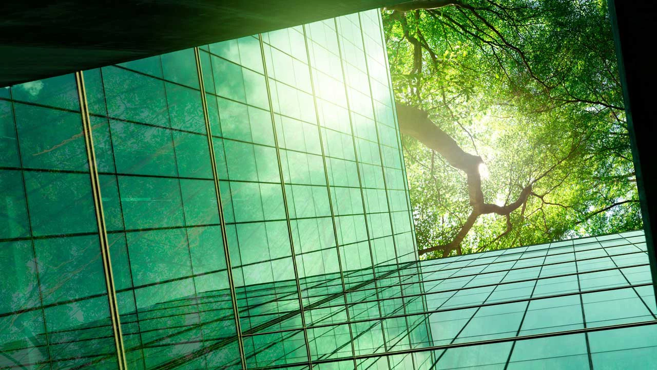 Sustainable glass office building with green tree.