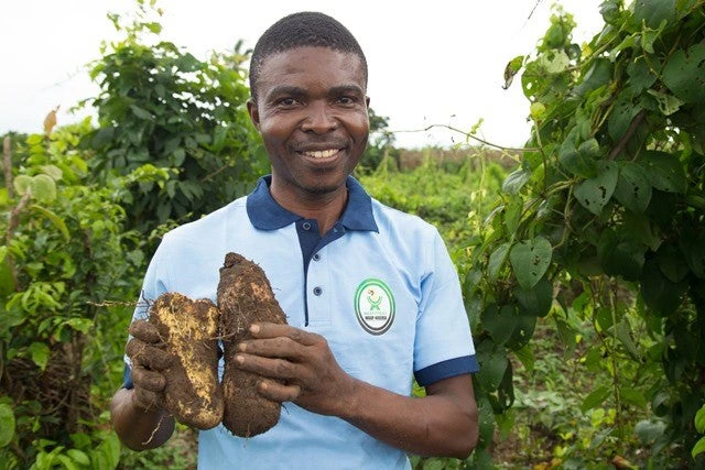 Climate-smart crops can help feed the world. Dasan Bobo / World Bank
