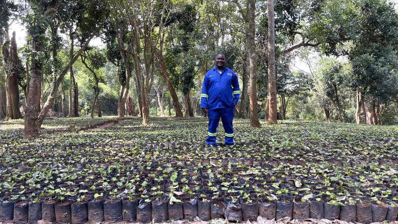 Francisco Mandlate in the AgroTur coffee seedlings nursery. Photo: Gabriella Morandi/World Bank