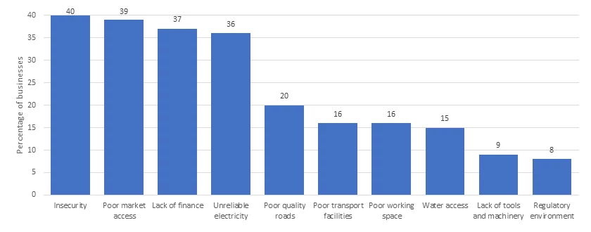 Serious or very serious constraints identified by businesses