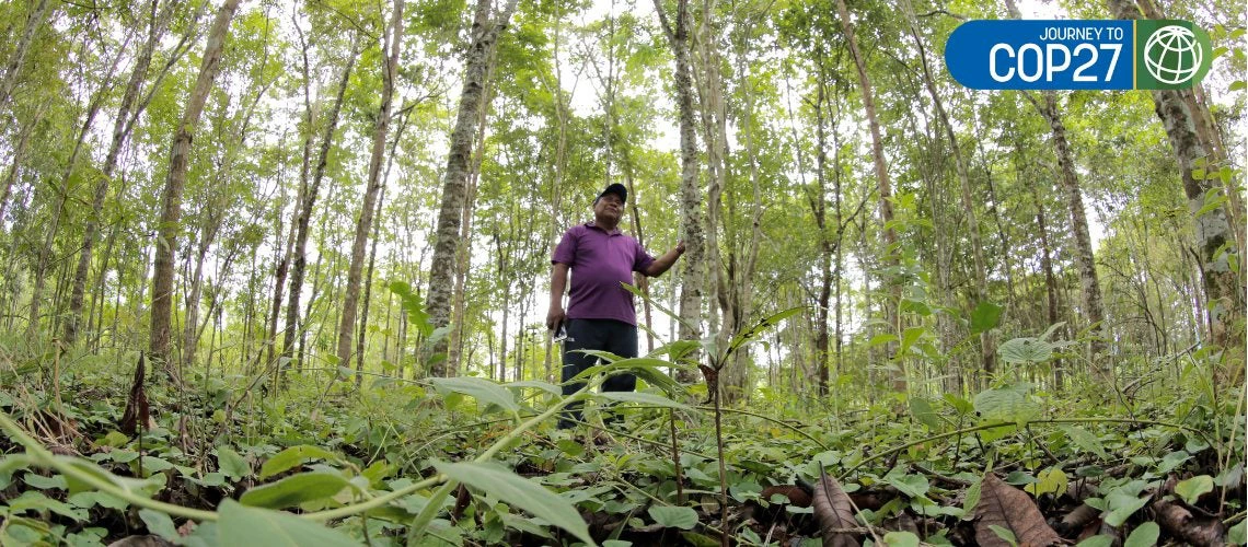 Man standing in the middle of the forest in the Indigenous community of Ipeti-Emberá, Panama