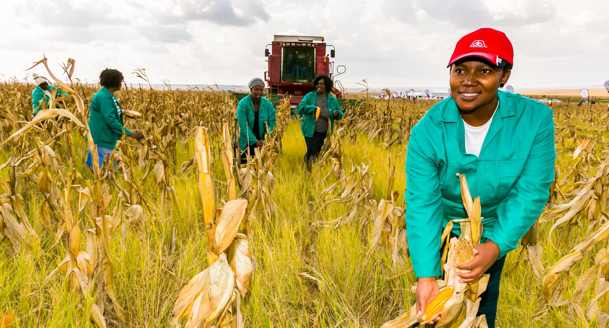 Commercial Maize Farming in South Africa. Credit: By Sunshine Seeds/Shutterstock
