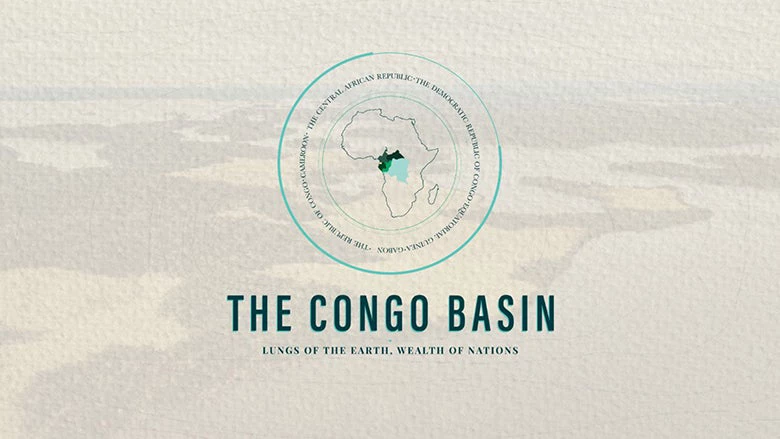 The Congo Basin 
