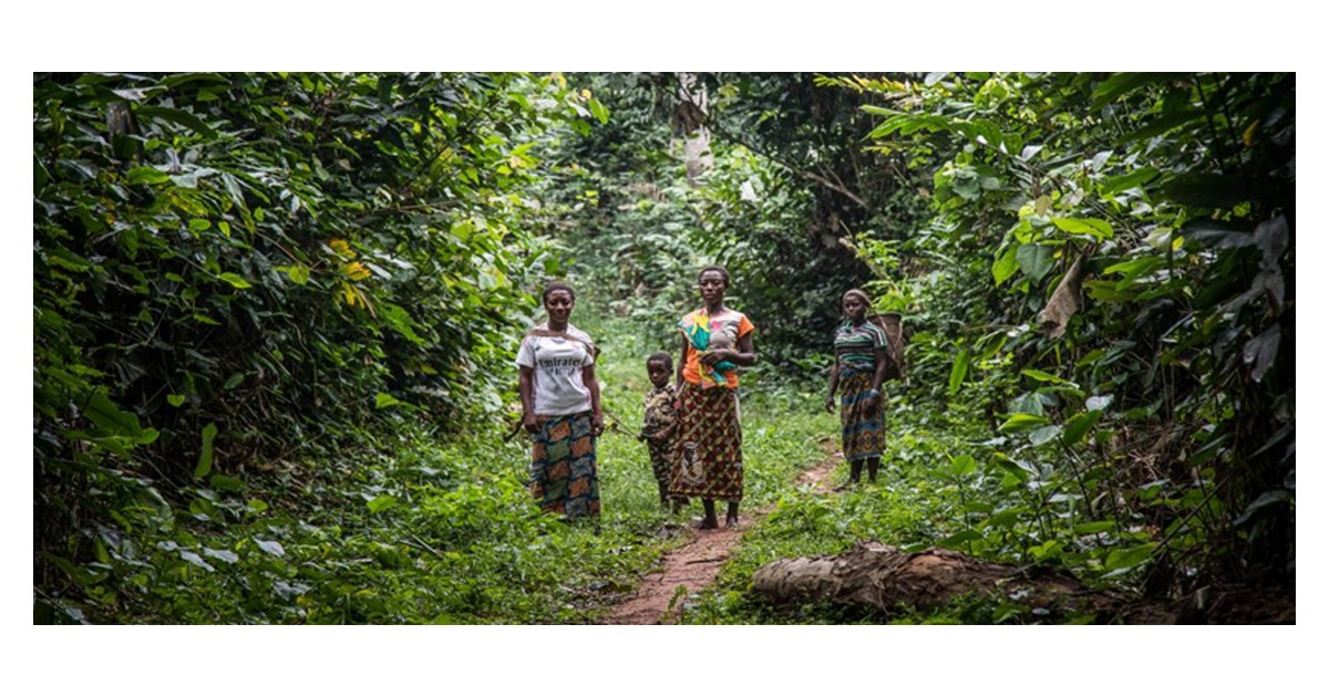 Why the Congo Basin Forests can’t be ignored: a global lifeline at crossroads – World Bank Blogs
