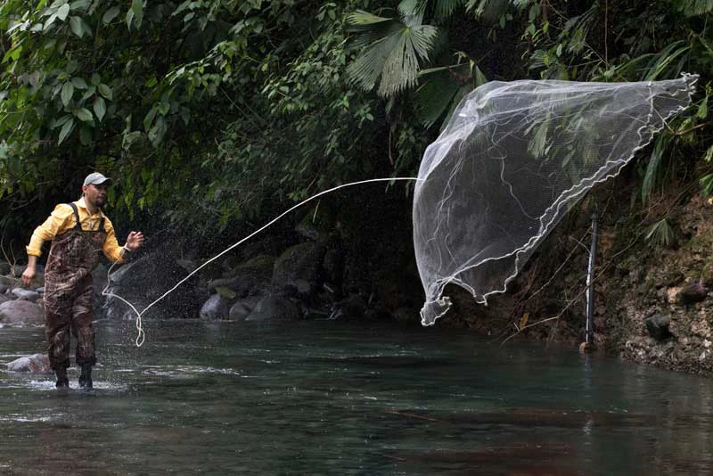 Fisherman