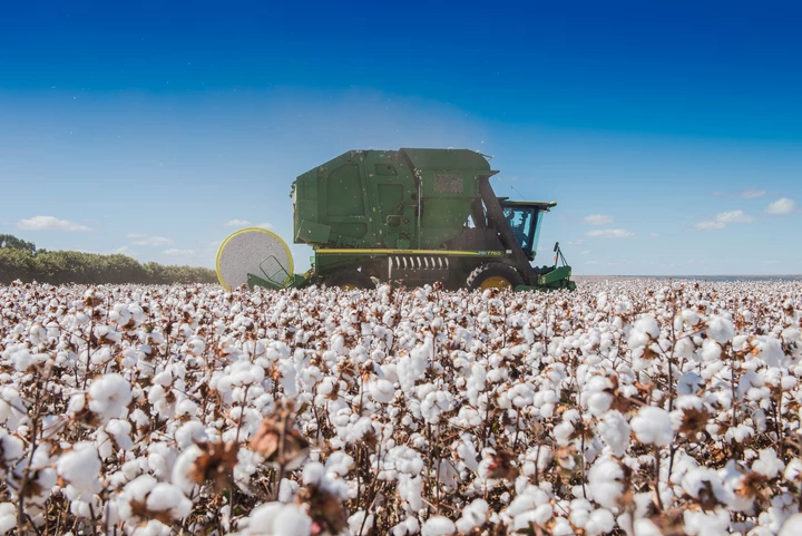 Steady gains in agricultural raw material prices
