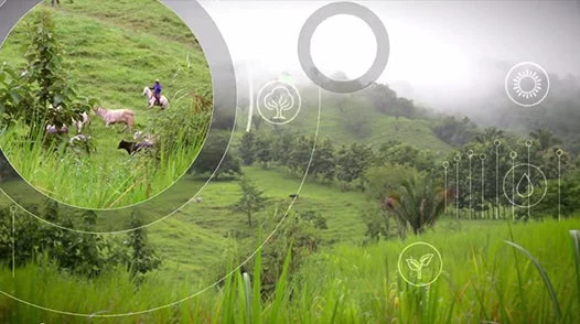 Climate-smart agriculture in Costa Rica, video