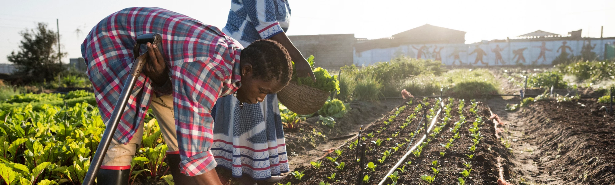 Morning image of an adult african woman, in traditional clothing, smiling at a young african male while they are in their garden.