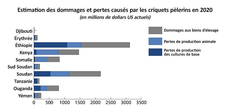 L'invasion de criquets pèlerins pourrait causer des dommages économiques dévastateurs dans les pays. © Stephen D?alessandro, Banque mondiale