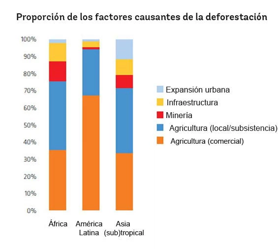 Proporción de los factores causantes de la deforestación