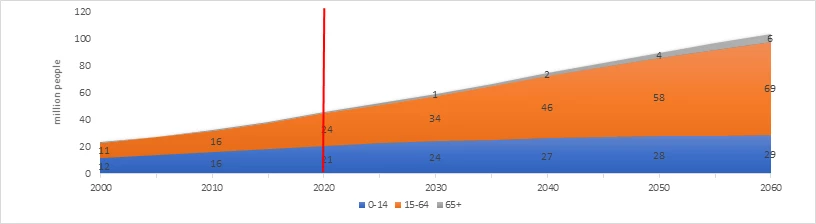 Figure 3. Population by age groups, (millions)